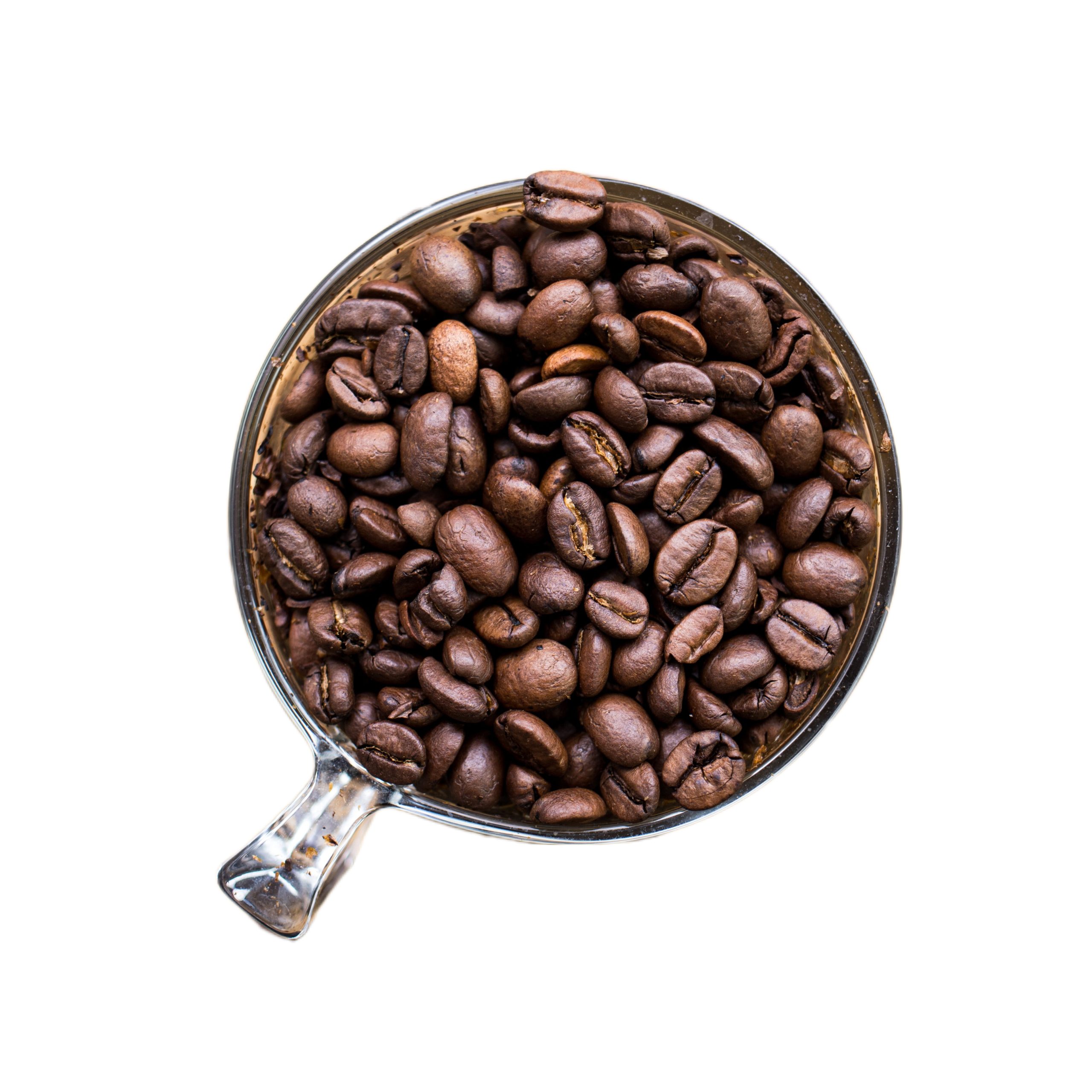 promotion-categories