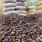 دانه قهوه عربیکا